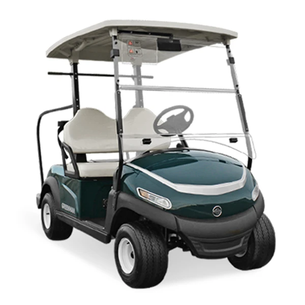 01-2 seater electric golf car low price