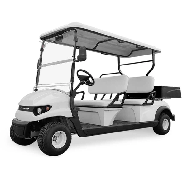 Low speed golf car Customized